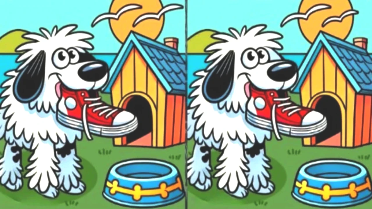 Akıllılığı Test Eden Oyun! Sevimli Köpekteki 3 Farkı 14 Saniyede Bulabilir misin?